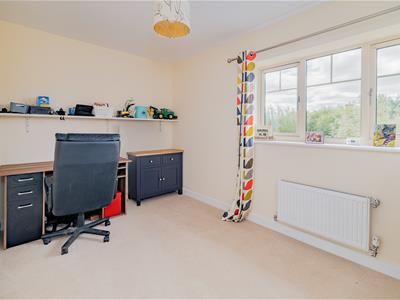 Picture 20